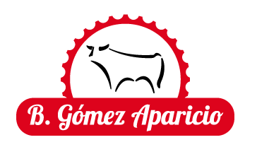 B Gómez Aparicio